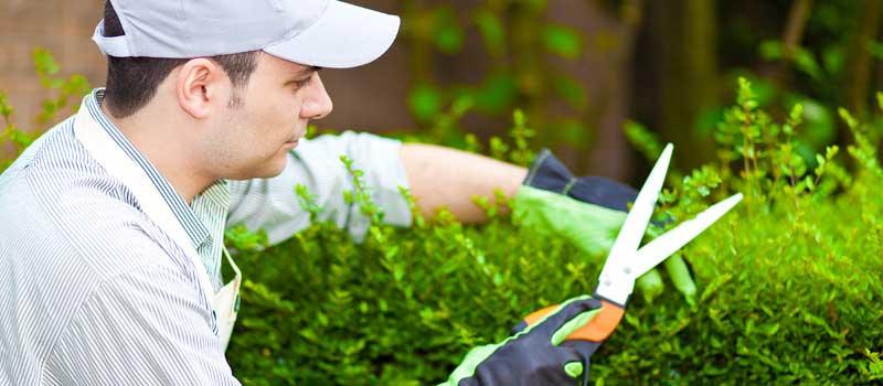 Support worker doing garden maintenance